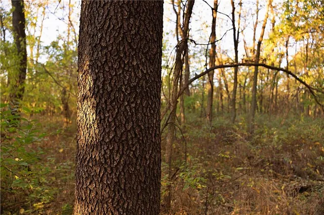 $545,000 | Sparta Road, Faucett, MO 64448