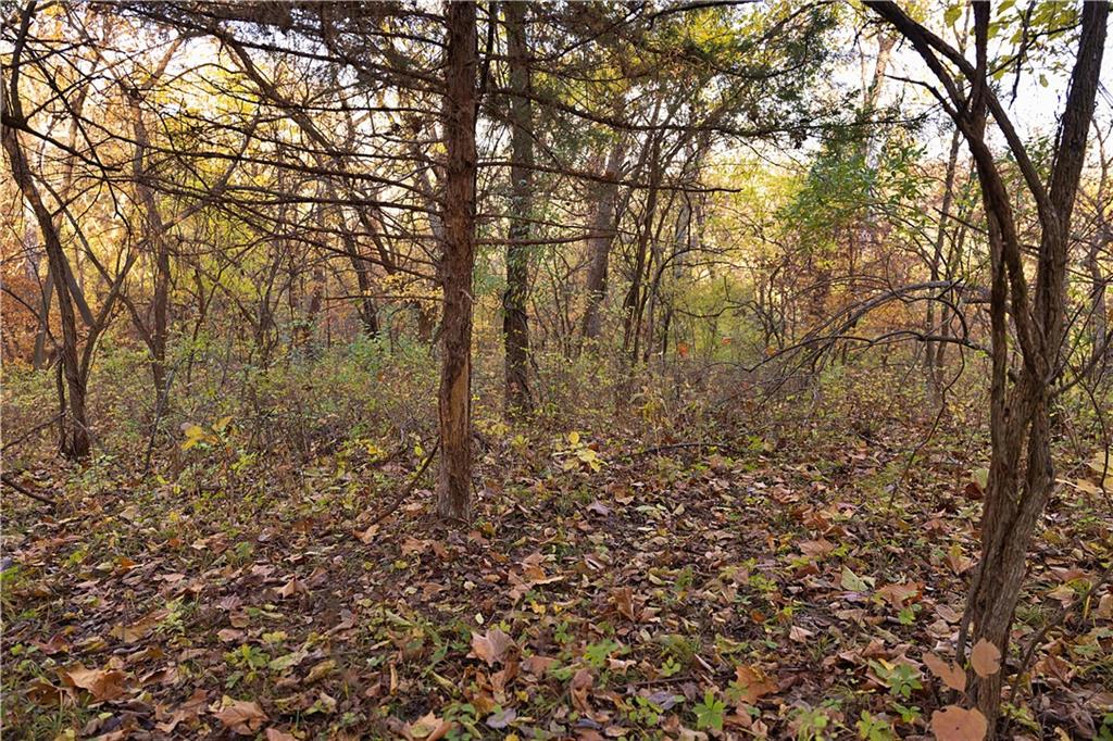 Sparta Road Faucett, MO 64448 - Photo 10 of 30