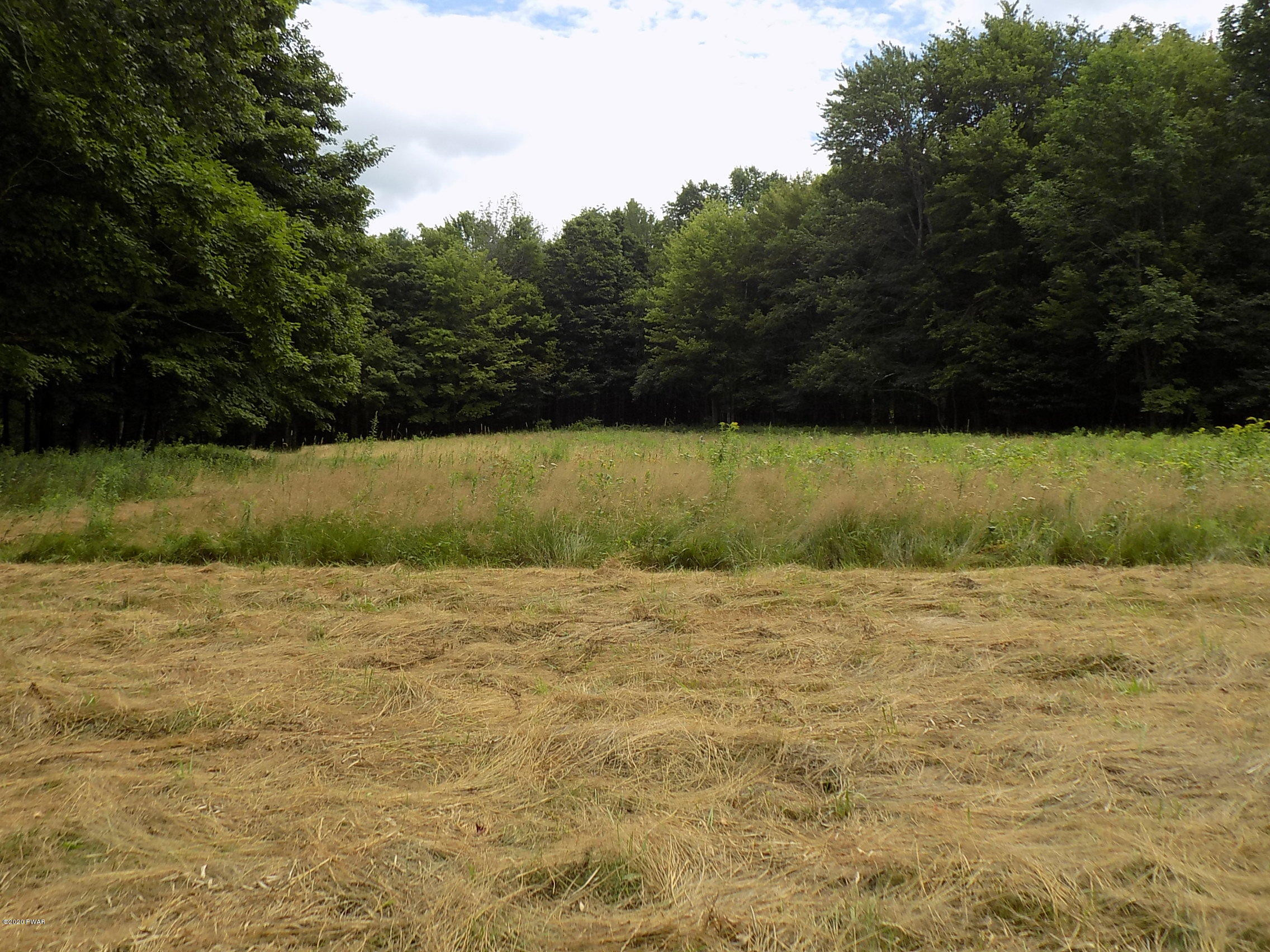 Lot 9 Phillips Road Newfoundland, PA 18445 - Photo 2 of 17