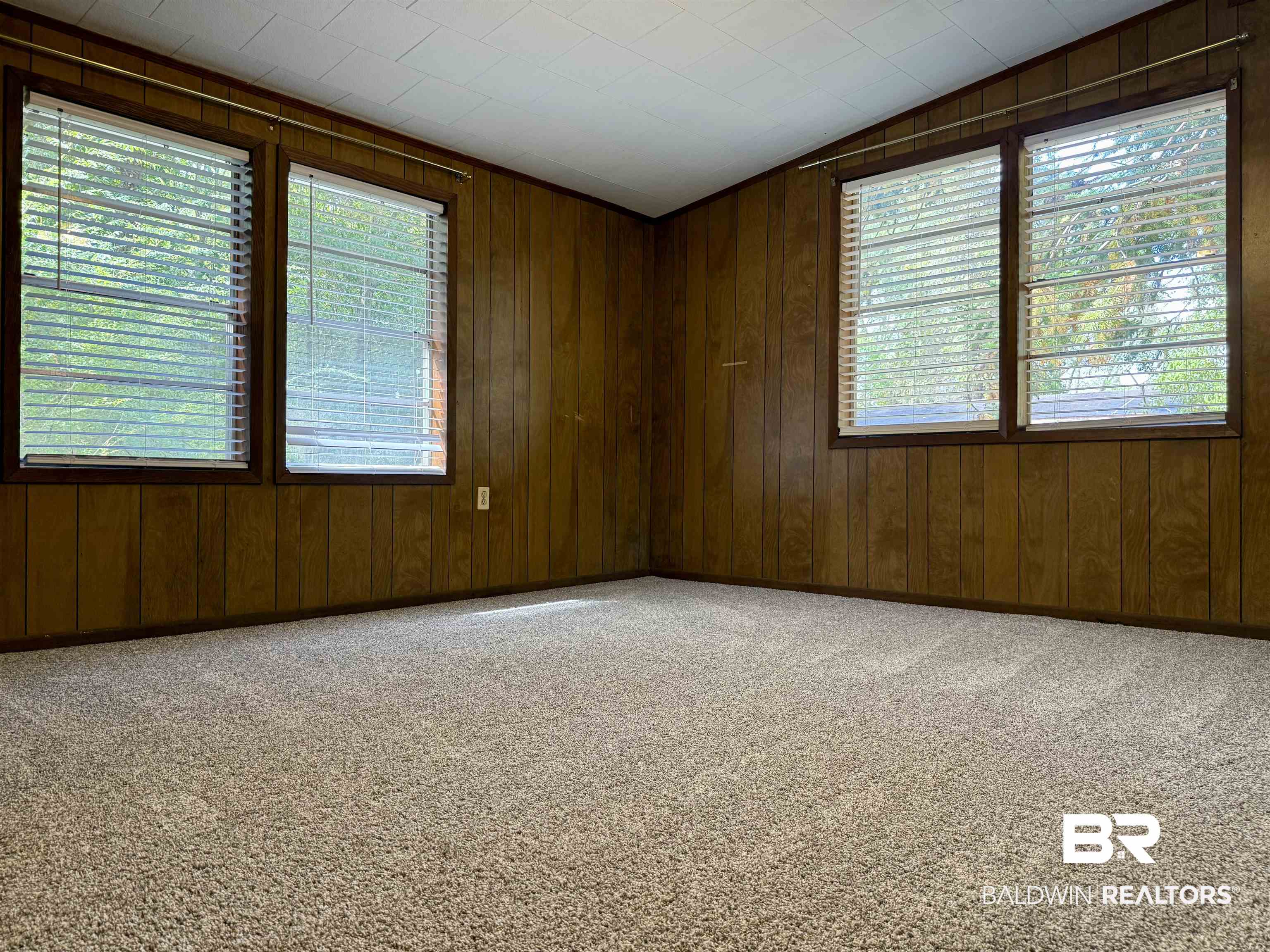 826 West Side Road Castleberry, AL 36432 - Photo 19 of 34 Spare room with light carpet, wooden walls, and vaulted ceiling
