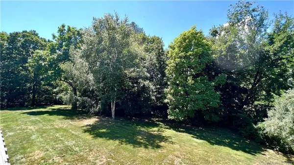 a view of backyard with green space