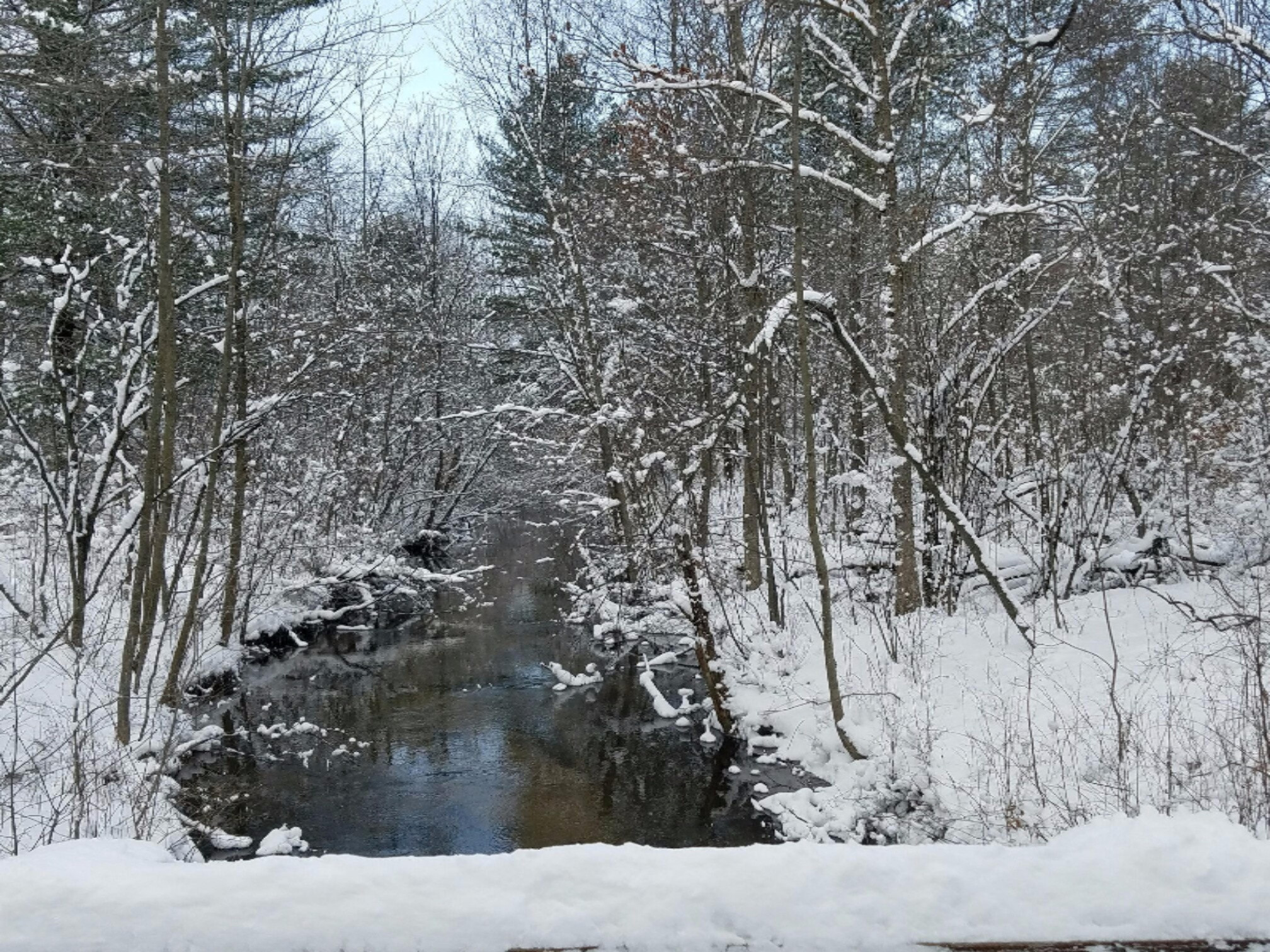 0 West McKinley Road, Unit 120 ACRES Rothbury, MI 49452 - Photo 1 of 2 Resized_20170106_135758