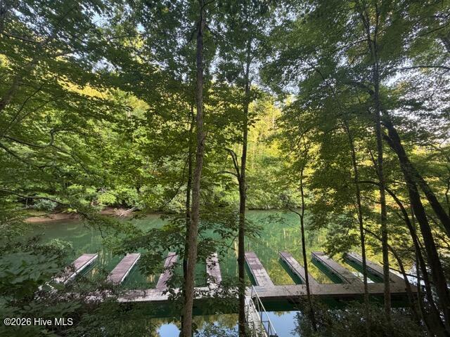 13 Little Choga Road Topton, NC 28781 - Photo 19 of 19 Gallery Image 19
