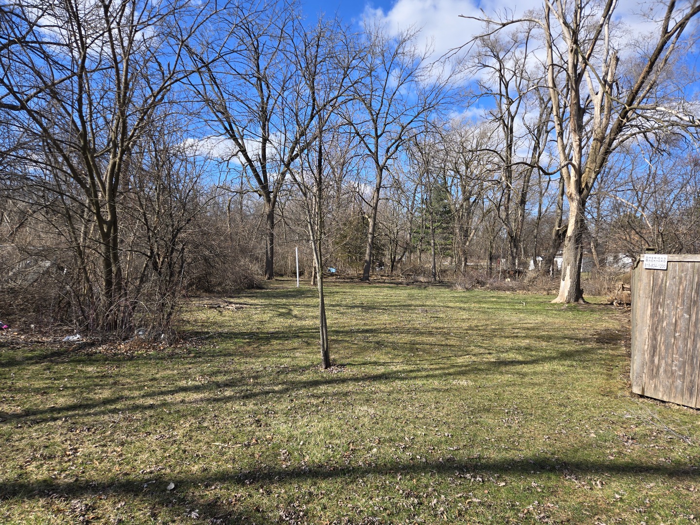 16517 Plainview Drive Markham, IL 60428 - Photo 30 of 30 a view of a yard with an trees