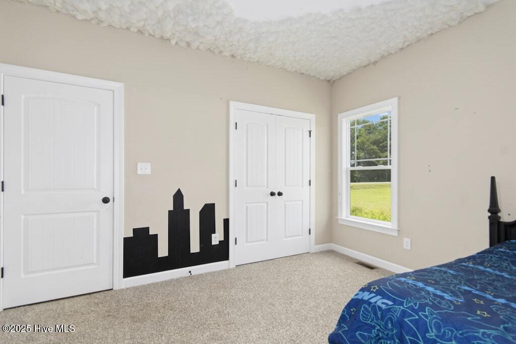 664 Rhodes Road Kenly, NC 27542 - Photo 22 of 32 020-484526-IMG_0873
