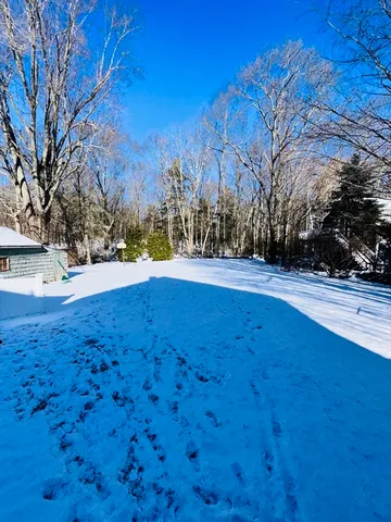 a view of yard with tree