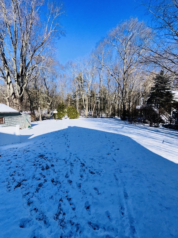 82 East High Street, Unit 1 Avon, MA 02322 - Photo 21 of 21 a view of yard with tree