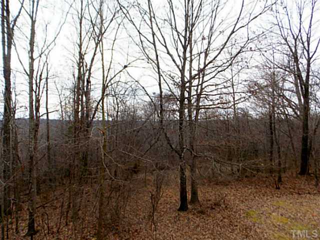 3768 Osceola Road Elon, NC 27244 - Photo 21 of 23 Gallery Image 21