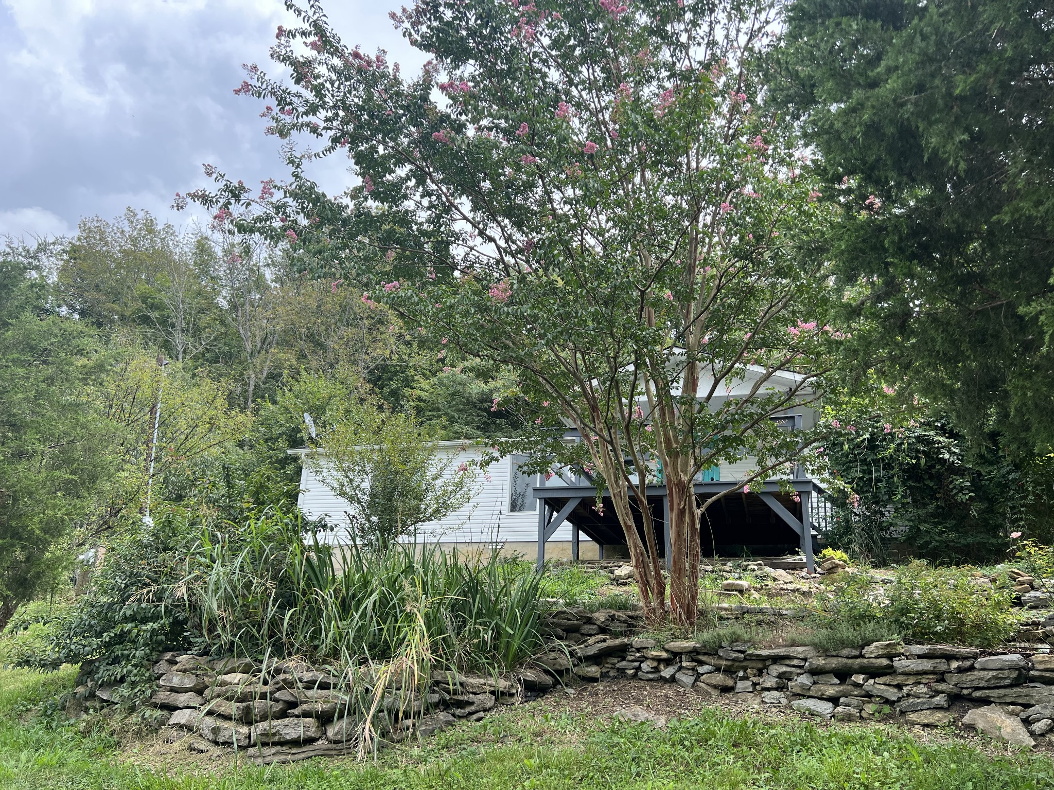 2999 Demastus Road Culleoka, TN 38451 - Photo 2 of 59 a view of a tree in front of a yard