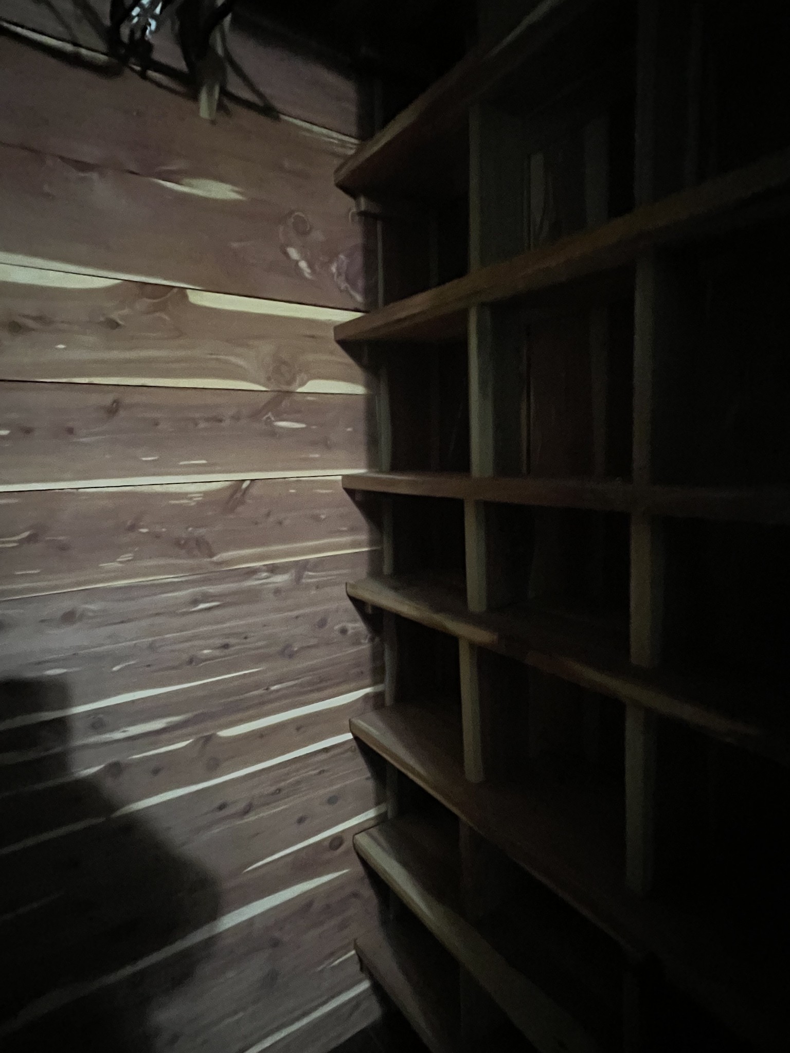2999 Demastus Road Culleoka, TN 38451 - Photo 28 of 59 a view of walk in closet with empty racks