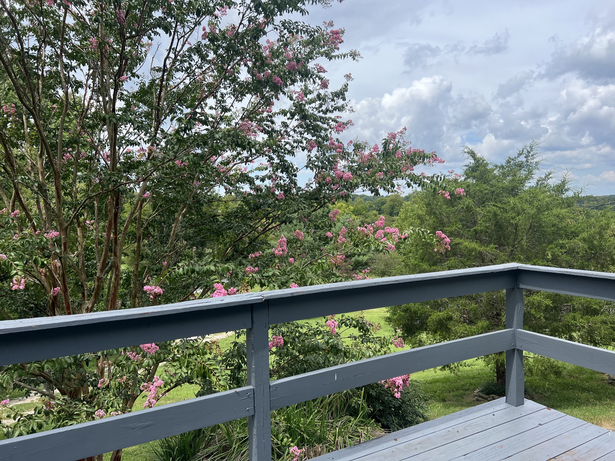 2999 Demastus Road Culleoka, TN 38451 - Photo 36 of 59