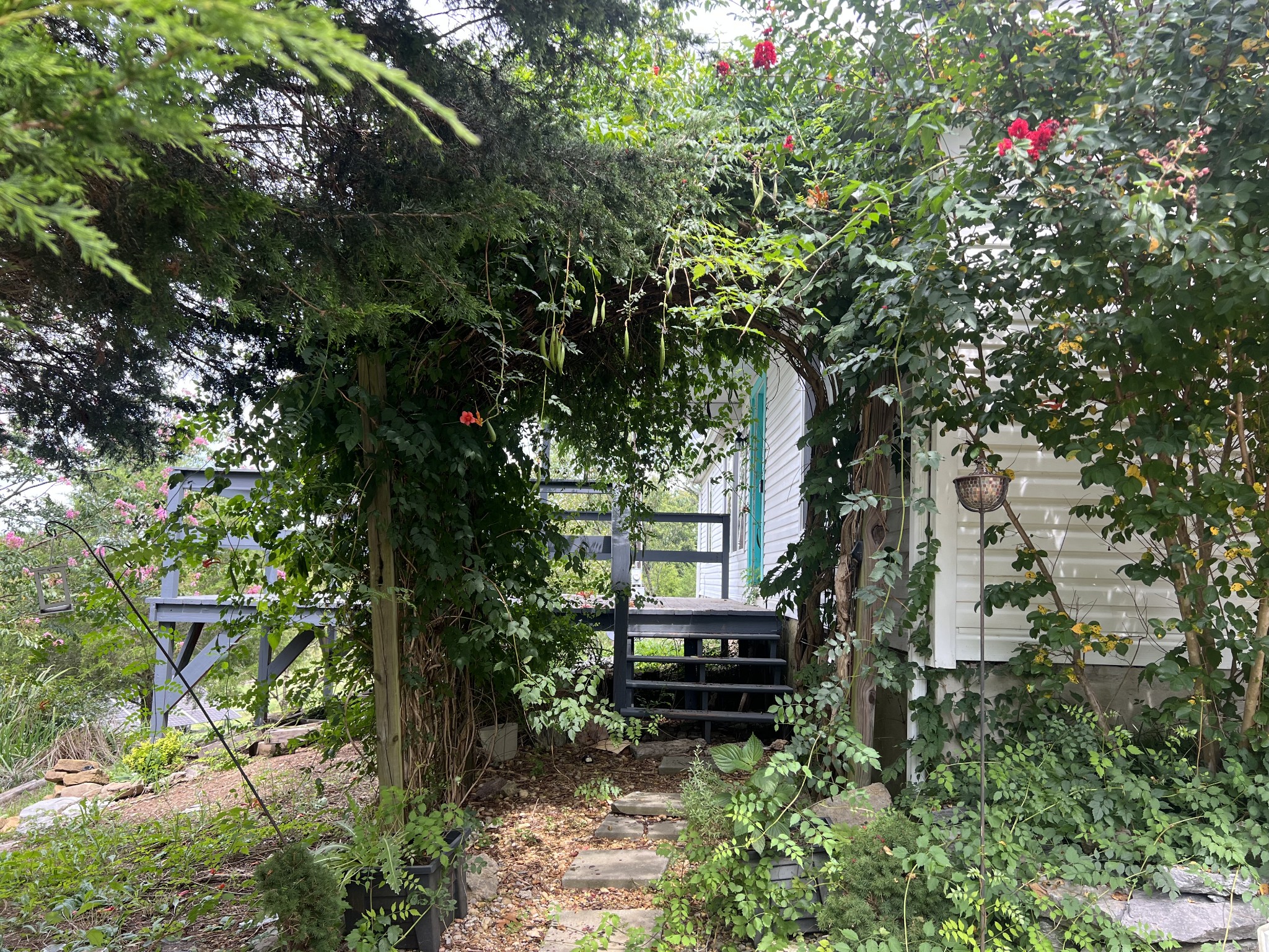 2999 Demastus Road Culleoka, TN 38451 - Photo 37 of 59 a backyard of a house with table and chairs a barbeque and a large tree