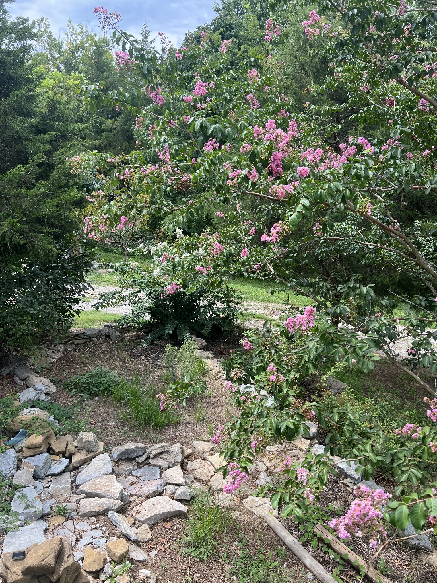 2999 Demastus Road Culleoka, TN 38451 - Photo 40 of 59 a view of a garden with flowers