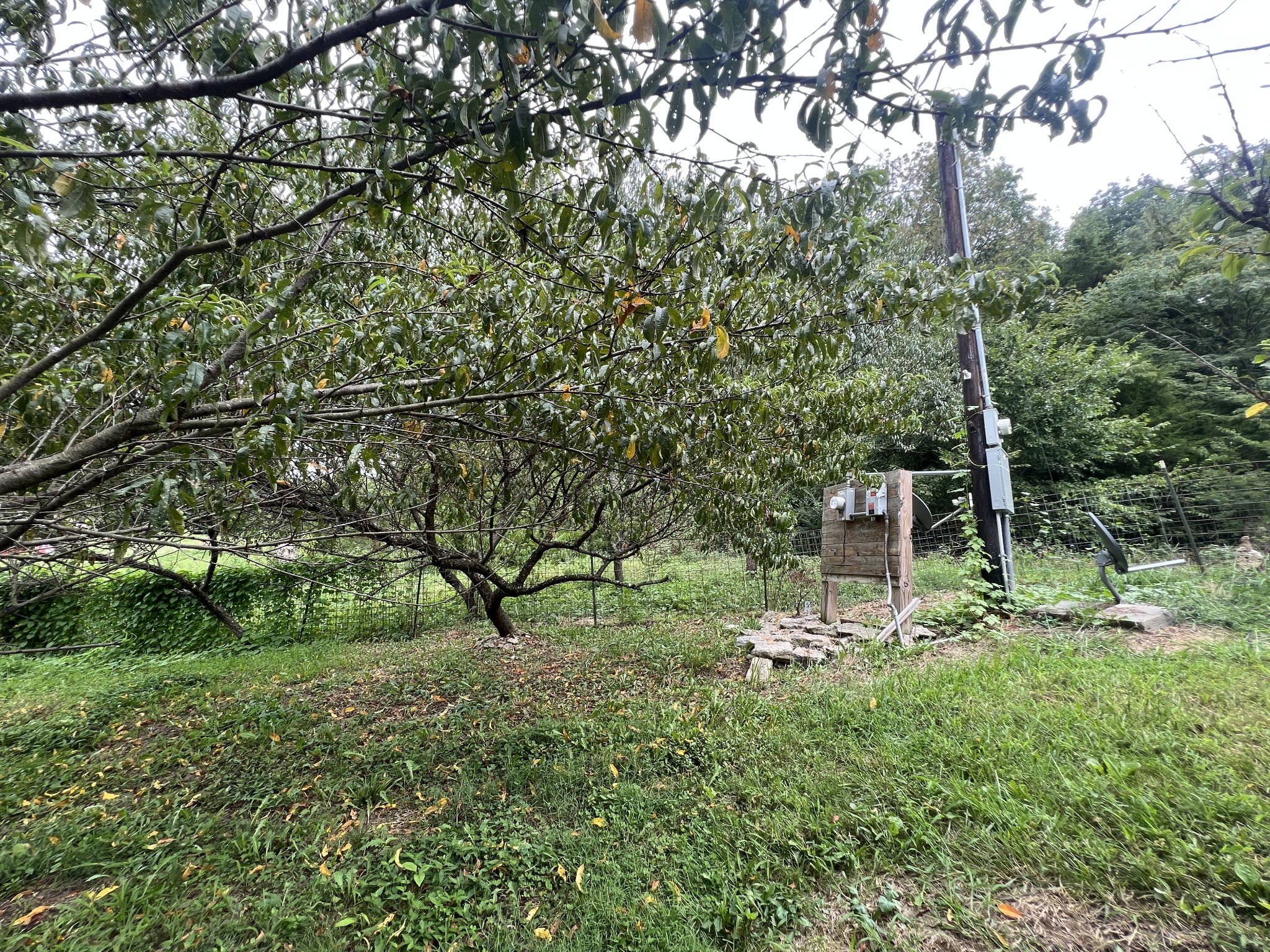 2999 Demastus Road Culleoka, TN 38451 - Photo 50 of 59 a backyard of a house with lots of green space
