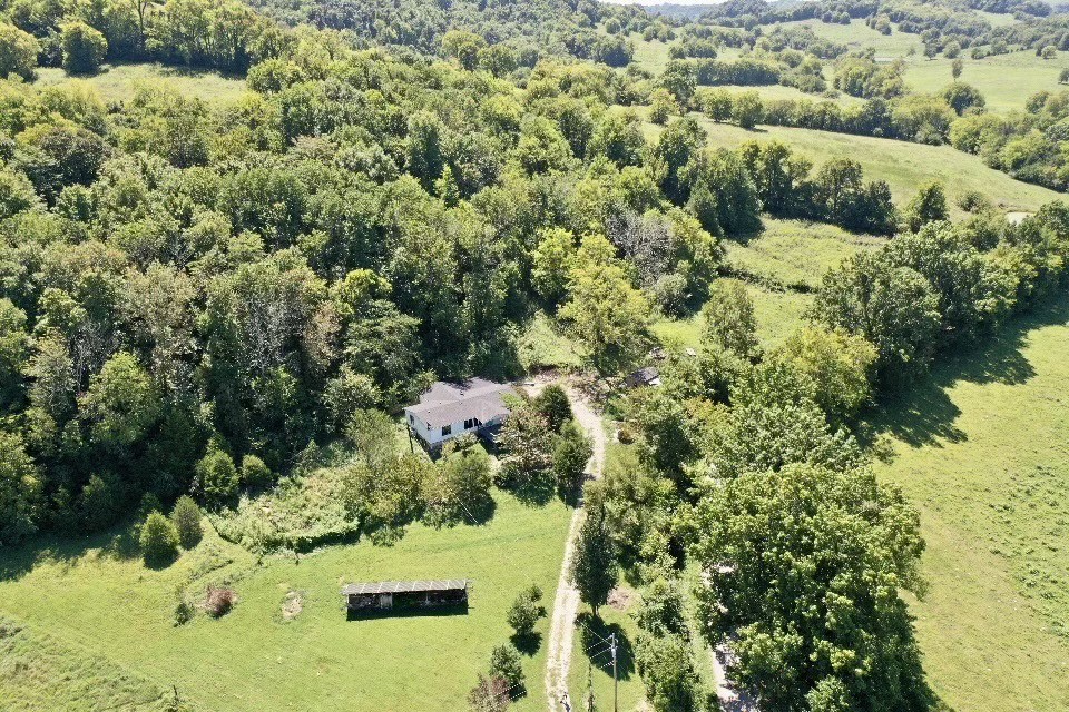 2999 Demastus Road Culleoka, TN 38451 - Photo 53 of 59 a view of a forest with a house