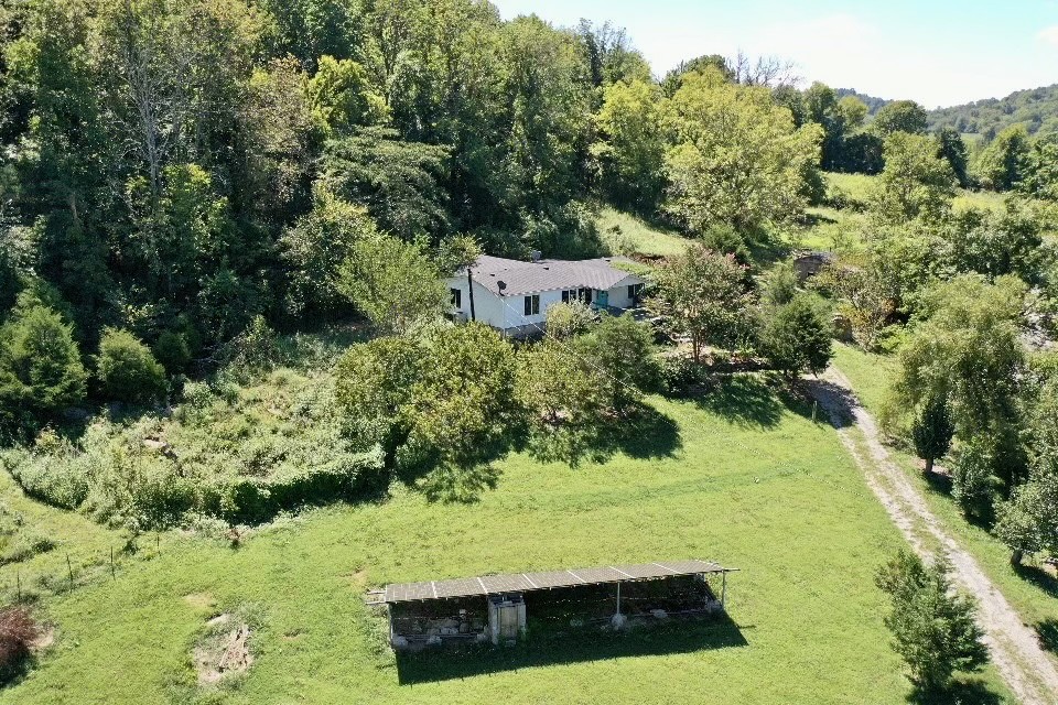 2999 Demastus Road Culleoka, TN 38451 - Photo 54 of 59 a view of a garden with a pathway