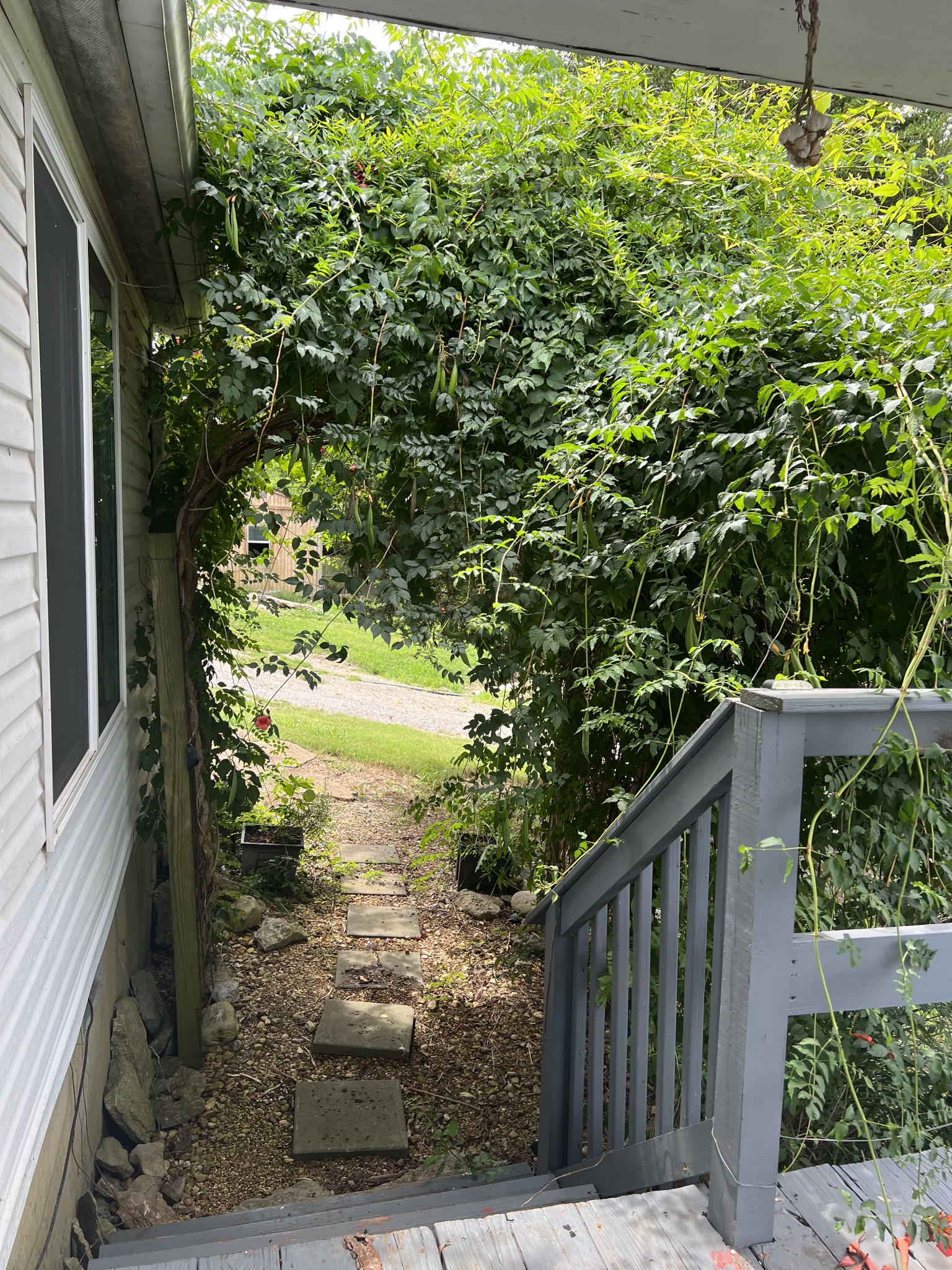 2999 Demastus Road Culleoka, TN 38451 - Photo 7 of 59 a view of a pathway of a yard with plants and large trees