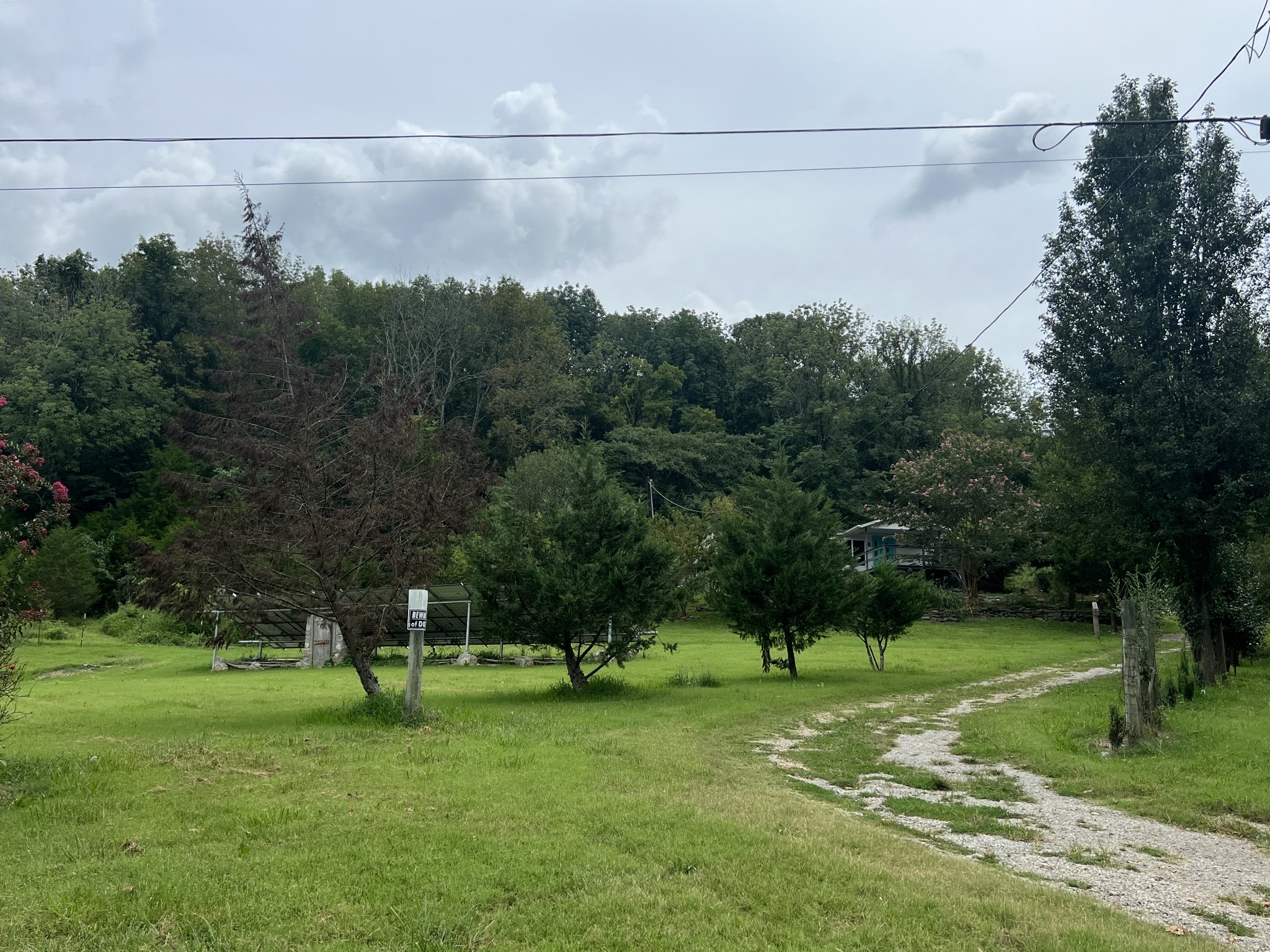 2999 Demastus Road Culleoka, TN 38451 - Photo 10 of 59 a view of a park