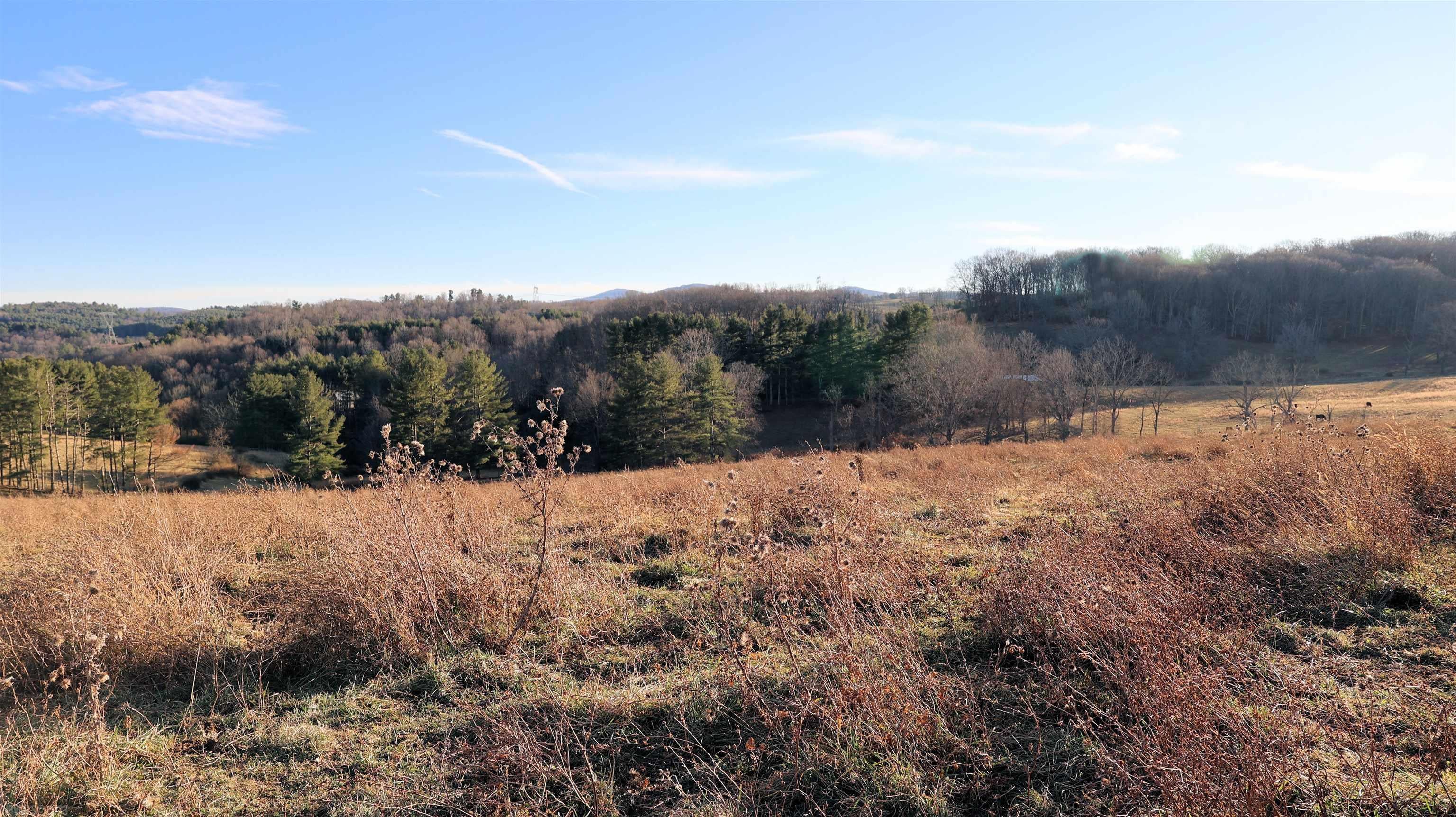 13.04 Ac Laurel Branch Road Floyd, VA 24091 - Photo 15 of 34 Gallery Image 15