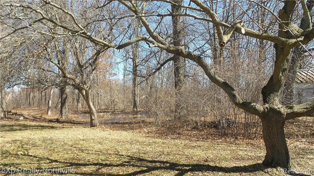 27601 Northline Road Romulus, MI 48174 - Photo 21 of 48