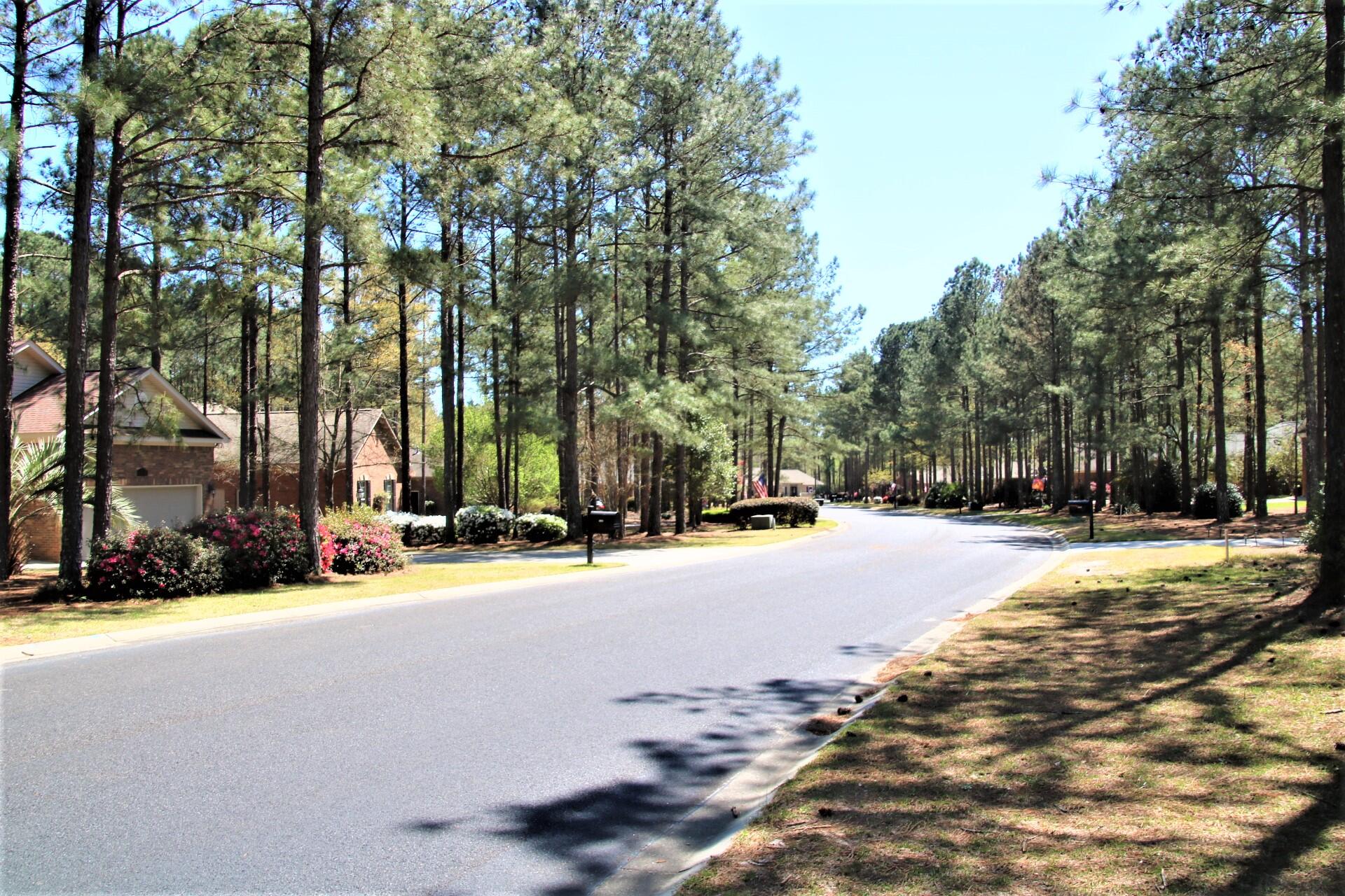 446 Edengale Way Aiken, SC 29803 - Photo 4 of 19 Gallery Image 4
