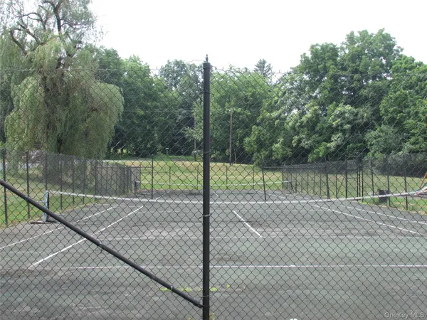 a view of a backyard with trees
