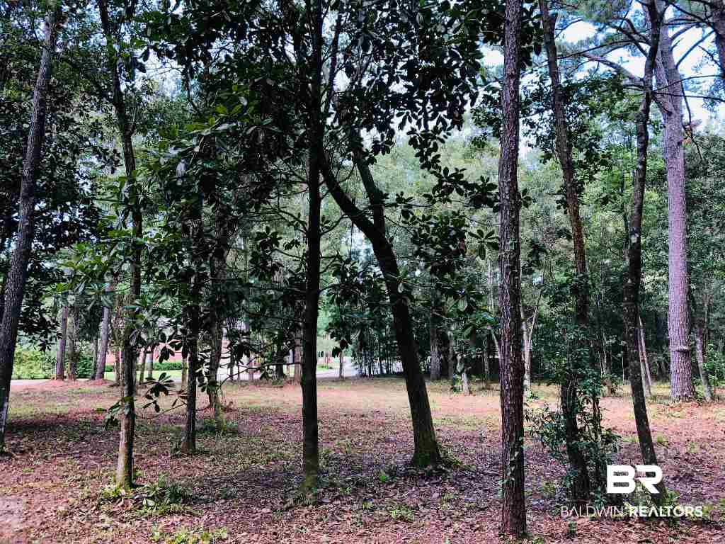 17370 Polo Ridge Boulevard Fairhope, AL 36532 - Photo 9 of 17