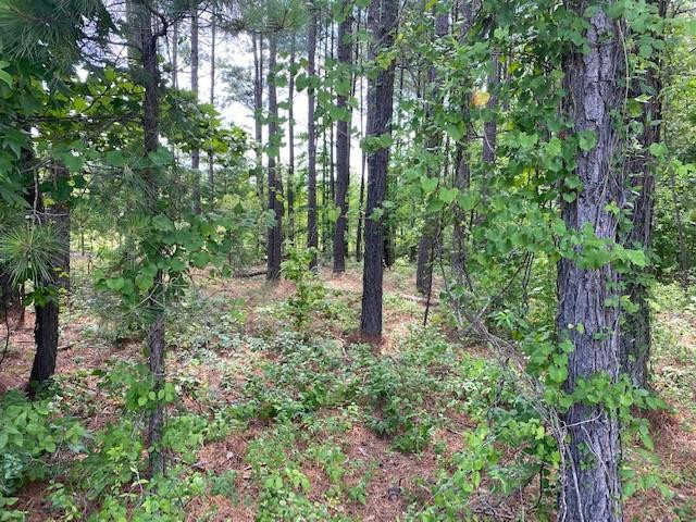0 Luckeys Bridge Road Dearing, GA 30808 - Photo 1 of 5 Main View