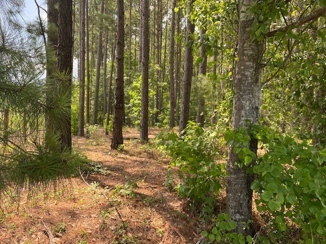 0 Luckeys Bridge Road Dearing, GA 30808 - Photo 2 of 5 2.39 acres