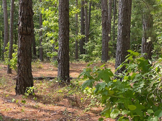 0 Luckeys Bridge Road Dearing, GA 30808 - Photo 3 of 5 Wooded - country peaceful atmosphere