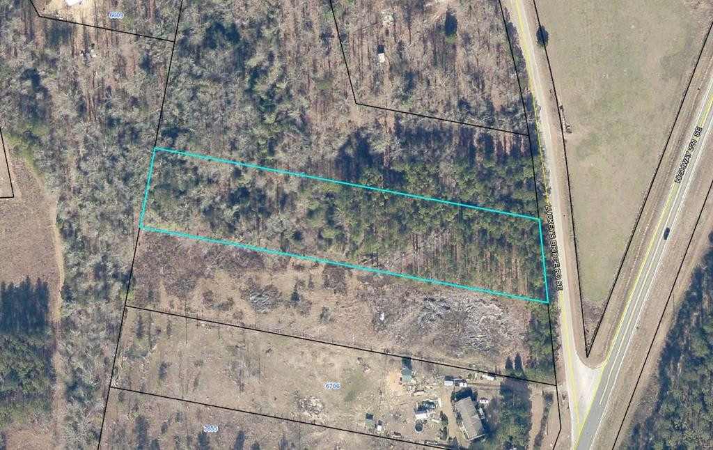 0 Luckeys Bridge Road Dearing, GA 30808 - Photo 5 of 5 Aerial view
