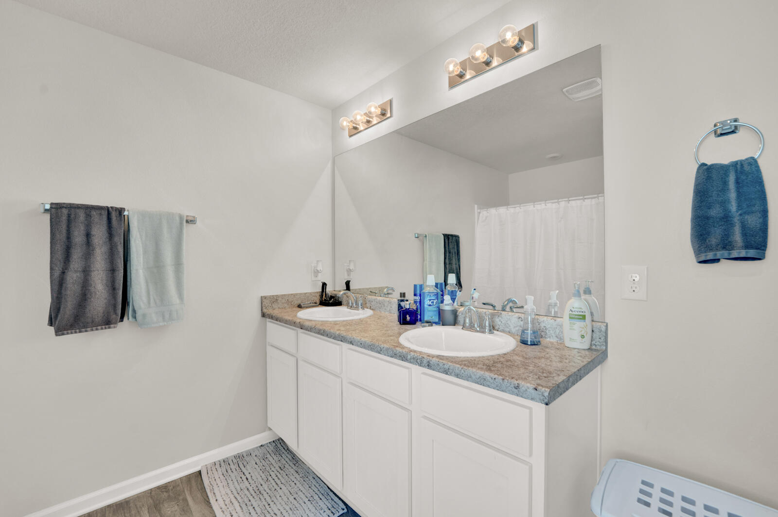 315 This Way Freeport, FL 32439 - Photo 41 of 41 Master Bathroom