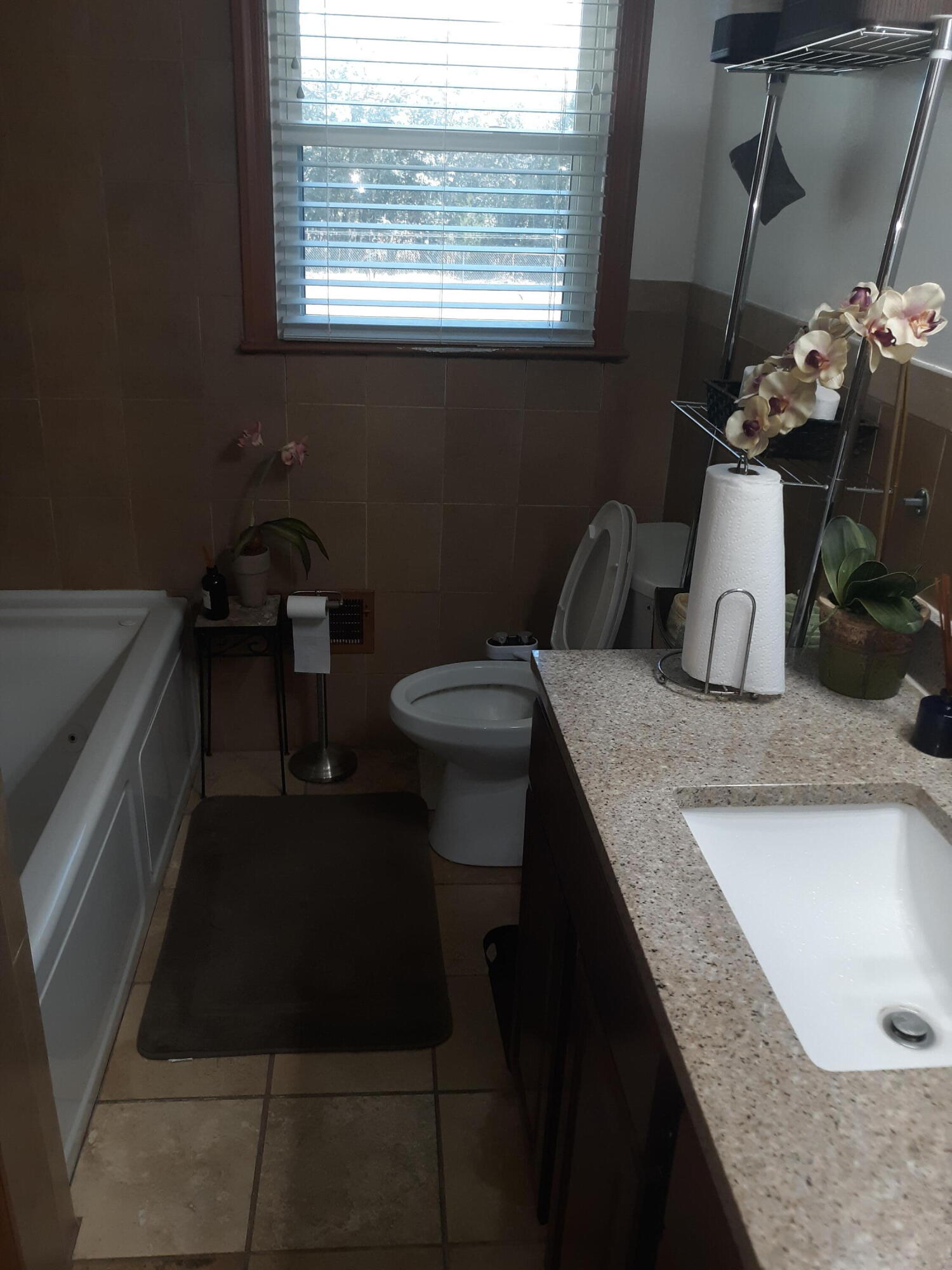 267 Chestnut Avenue Denmark, SC 29042 - Photo 24 of 34