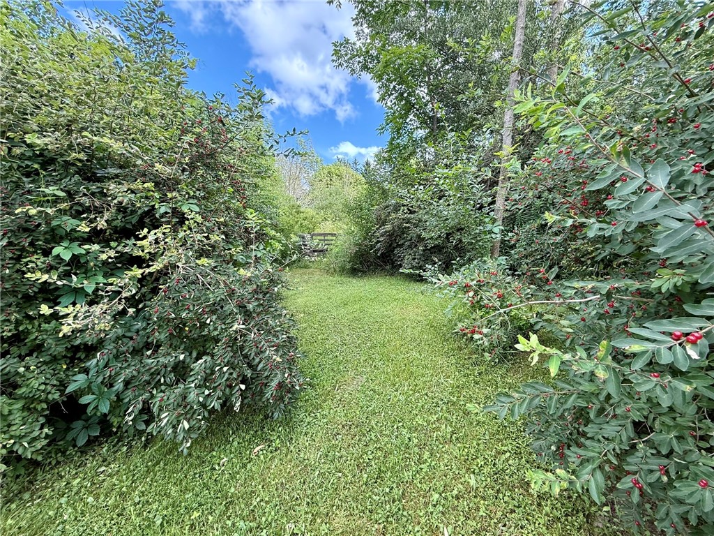 739 Mapledale Road Cassville, NY 13318 - Photo 46 of 48