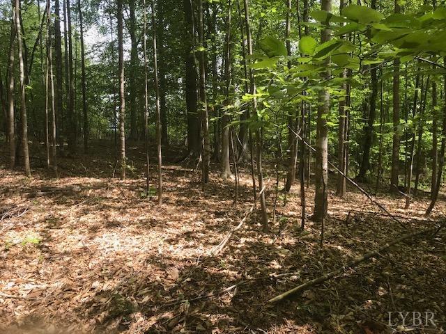 687 Elon Road Madison Heights, VA 24572 - Photo 11 of 25 a view of outdoor space with trees