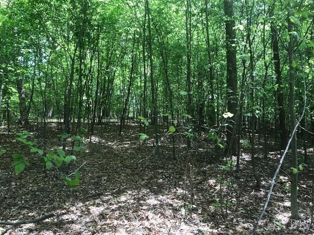 687 Elon Road Madison Heights, VA 24572 - Photo 12 of 25 a view of outdoor space and green space