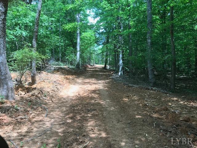 687 Elon Road Madison Heights, VA 24572 - Photo 13 of 25 a view of a forest with trees in the background