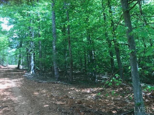 687 Elon Road Madison Heights, VA 24572 - Photo 14 of 25 a backyard of a house with lots of green space