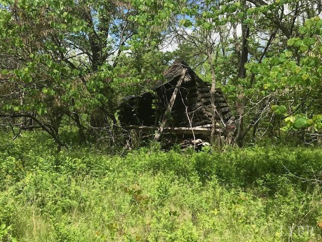 687 Elon Road Madison Heights, VA 24572 - Photo 15 of 25 a view of a backyard