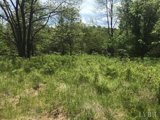 687 Elon Road Madison Heights, VA 24572 - Photo 16 of 25 a view of a lush green forest