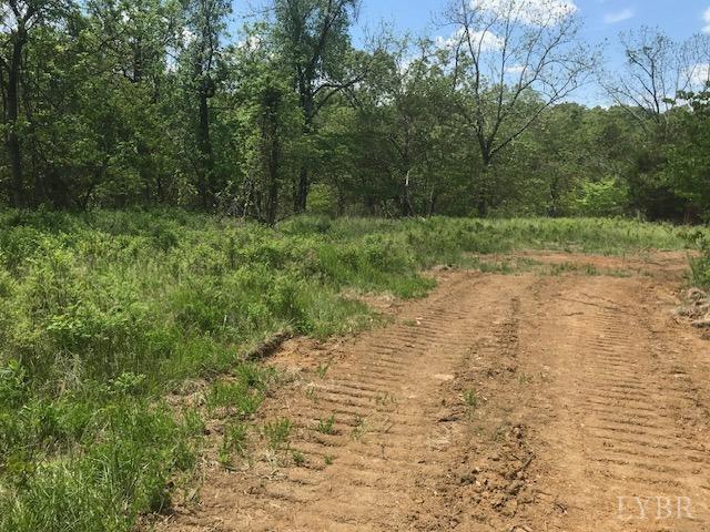 687 Elon Road Madison Heights, VA 24572 - Photo 17 of 25 a view of a yard with trees