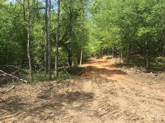 687 Elon Road Madison Heights, VA 24572 - Photo 18 of 25 a view of a yard with plants and large trees