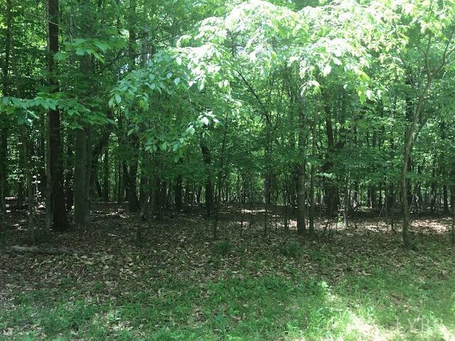 687 Elon Road Madison Heights, VA 24572 - Photo 19 of 25 a view of outdoor space with green space