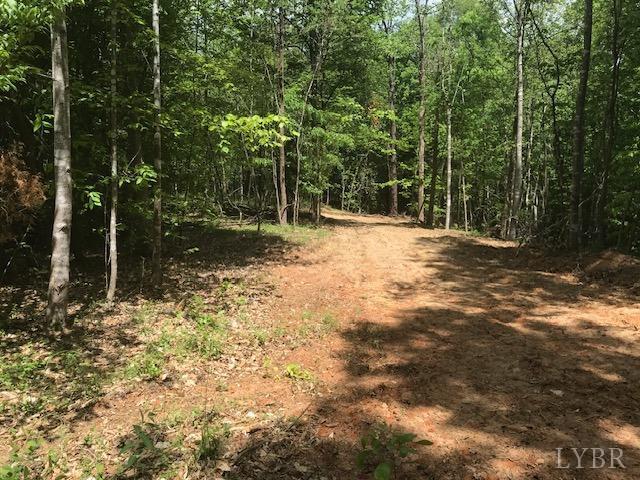 687 Elon Road Madison Heights, VA 24572 - Photo 2 of 25 a backyard of a house with lots of green space