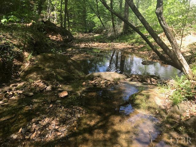 687 Elon Road Madison Heights, VA 24572 - Photo 22 of 25 a view of a tree with snow