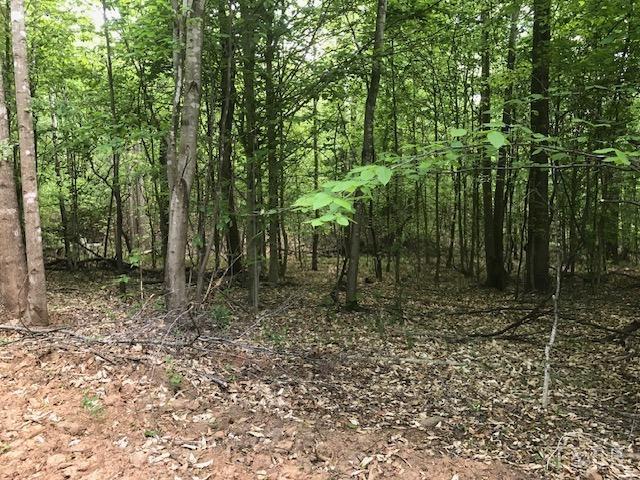687 Elon Road Madison Heights, VA 24572 - Photo 23 of 25 a view of a forest with trees in the background