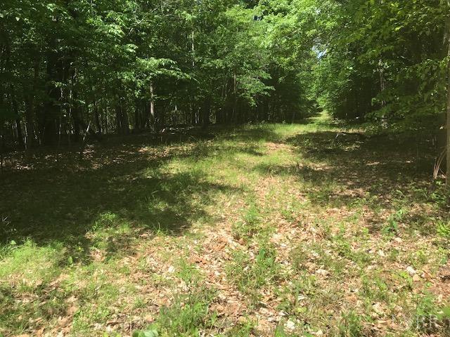 687 Elon Road Madison Heights, VA 24572 - Photo 3 of 25 a view of outdoor space with a garden
