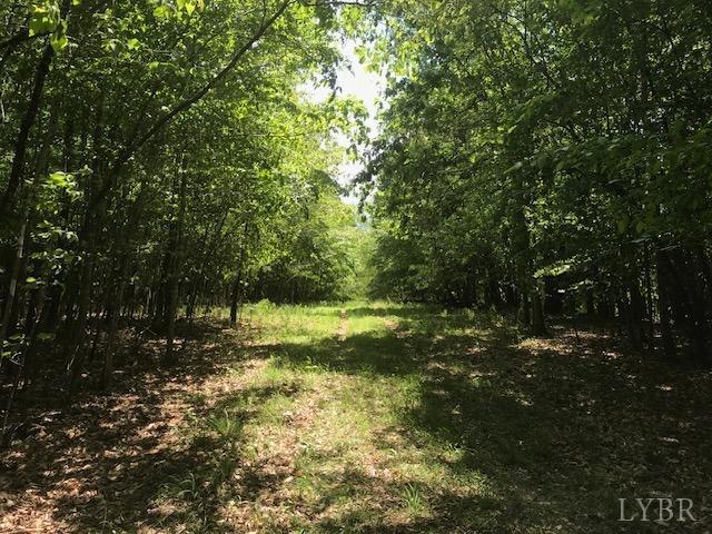 687 Elon Road Madison Heights, VA 24572 - Photo 5 of 25 a view of outdoor space and yard