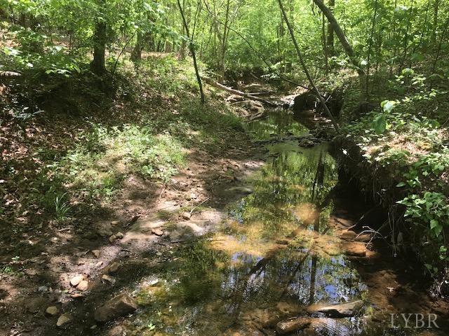 687 Elon Road Madison Heights, VA 24572 - Photo 6 of 25 a view of a tree in a yard