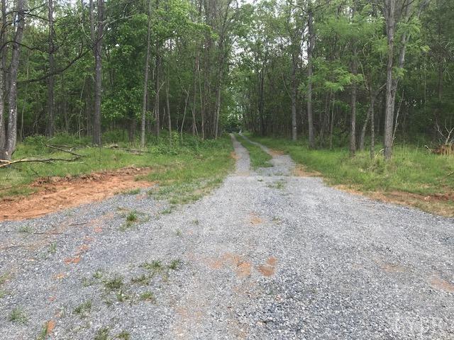 687 Elon Road Madison Heights, VA 24572 - Photo 9 of 25 a view of a park